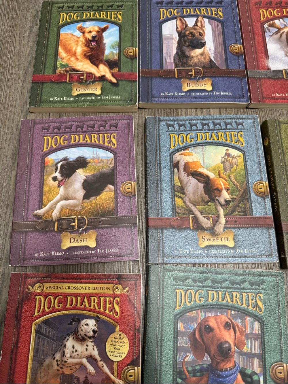 Dog Diaries 1-12 Series Paperback Books - Picture 5 of 13